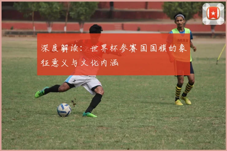 深度解读：世界杯参赛国国旗的象征意义与文化内涵