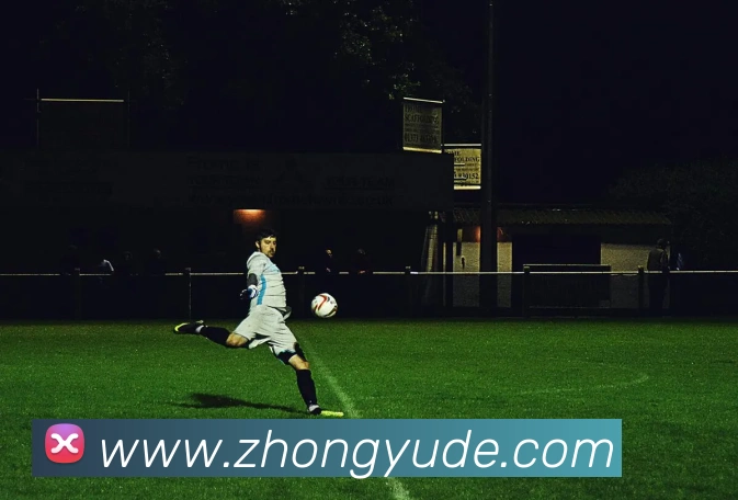 九游j9官方网站入口发展历程