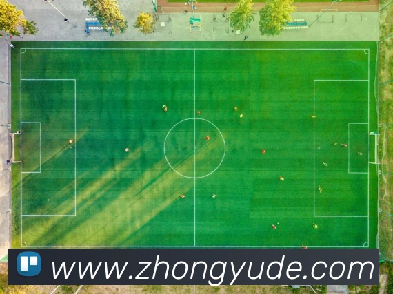 奖项图3